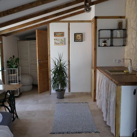 Studio Avec Jardin Prive Bergerac Zewnętrze zdjęcie